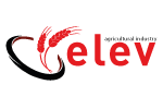 Elev